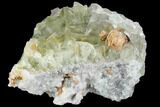 Blue-Green, Cubic Fluorite Crystal Cluster - Morocco #98993-1